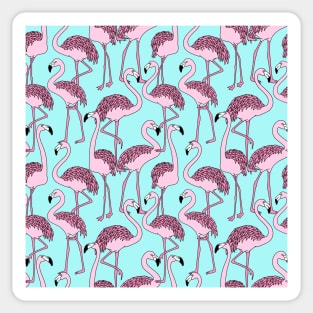 Pink Flamingos Sticker